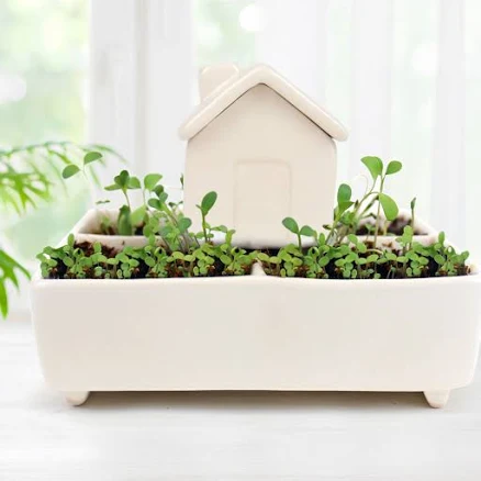 Artisan Ceramic Self-Watering Planter — Mother's Day gift for your mother in law, shoppable idea