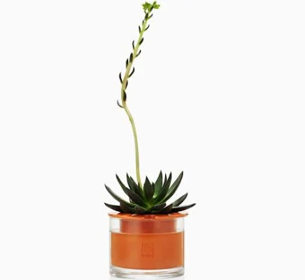 Wet-Pot Terracotta Self-Watering Herb Planter — Mother's Day gift for your mother in law, shoppable idea