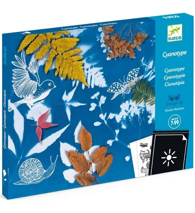 Botanical Cyanotype 'Sun-Print' Kit for Gardeners — Mother's Day gift for your mother in law, shoppable idea