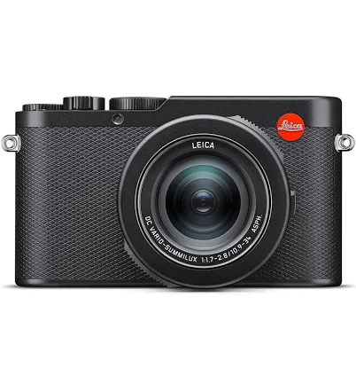 Leica D-Lux 8 Compact Camera in Silver & Leather — Mother's Day gift for your mother in law, shoppable idea