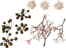 Specialist Herbarium Specimen Mounting Kit — Mother's Day gift for your mother in law, shoppable idea