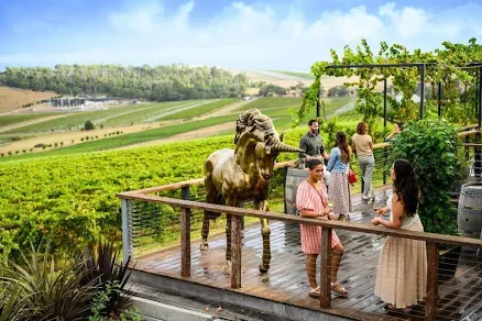 Dog-Friendly Vineyard Tasting and Lunch — Mother's Day gift for your wife from her husband — shoppable idea