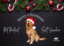 Professional Lifestyle Pet Photography Session — Mother's Day gift for your wife from her husband — shoppable idea