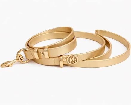 Artisan Leather Dog Leash and Collar Set — Mother's Day gift for your wife from her husband — shoppable idea