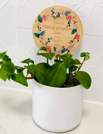 Witty Ceramic Plant Pot Markers with Funny Plant Names — Mother's Day gift for your wife from her husband — shoppable idea