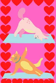 'Yoga for People Who Can't Touch Their Toes' — Mother's Day gift for your wife from her husband — shoppable idea