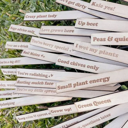 Funny Garden Marker Stakes with Sarcastic Plant Labels — Mother's Day gift for your wife from her husband — shoppable idea