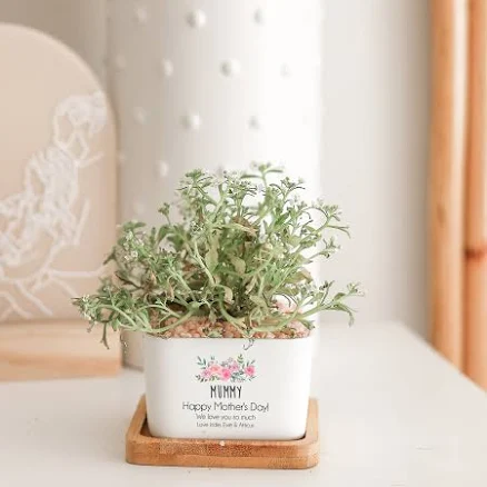 Sage Green Ceramic Planter with Cheeky Garden Wisdom — Mother's Day gift for your wife from her husband — shoppable idea